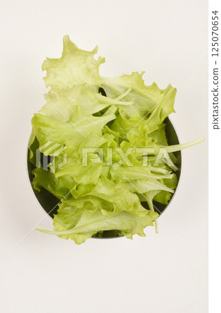 Green lettuce leaves 125070654