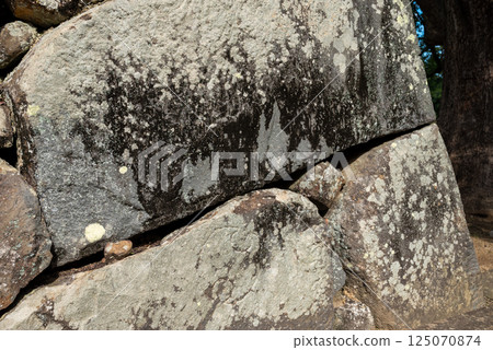 Matsue Castle Shimane Prefecture 125070874