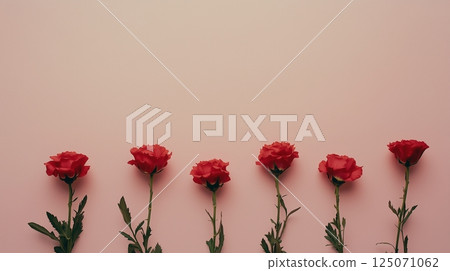 粉紅色背景上的新鮮康乃馨圖像 125071062