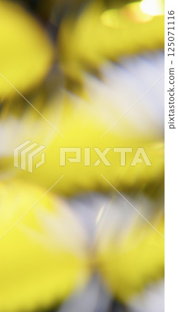 Lens flare. Blur light. Defocused yellow colorful geometric spectrum glow laser texture effect on abstract bokeh art background. 125071116