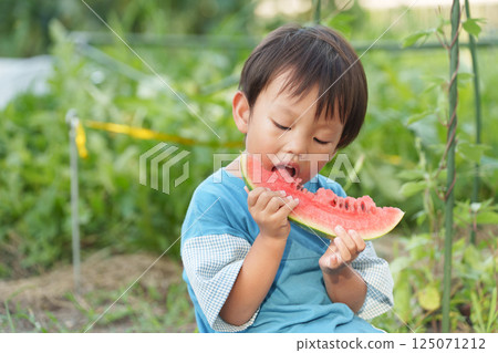 Child eating watermelon during summer vacation Child eating watermelon during summer vacation 125071212