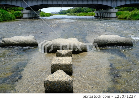 Stepping stones of the Kamo River and the Kamo River Delta 125071227
