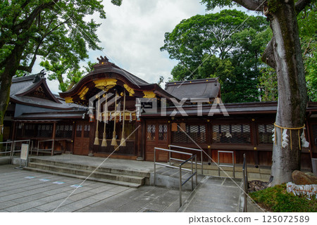Goo Shrine 125072589