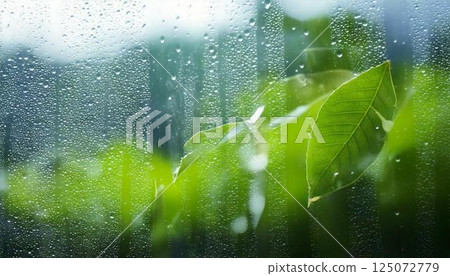 雨天窗玻璃上的水滴和模糊的自然風景情感背景 125072779