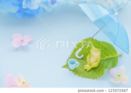 雨季的形象 |雨傘、青蛙和繡球花 125072887