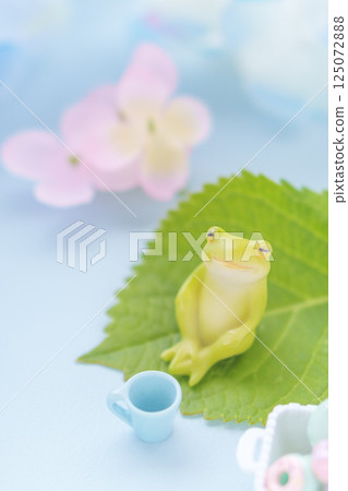Image of the rainy season | Frog and hydrangea flowers 125072888