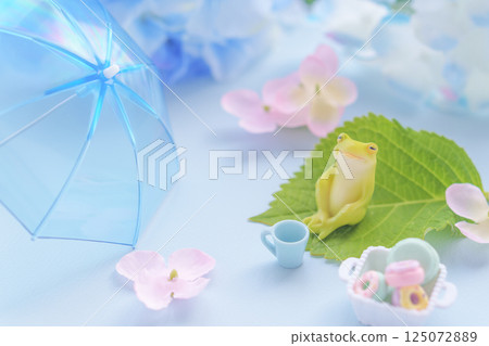 雨季的形象 |雨傘、青蛙和繡球花 雨季的形象 |雨傘、青蛙和繡球花 125072889