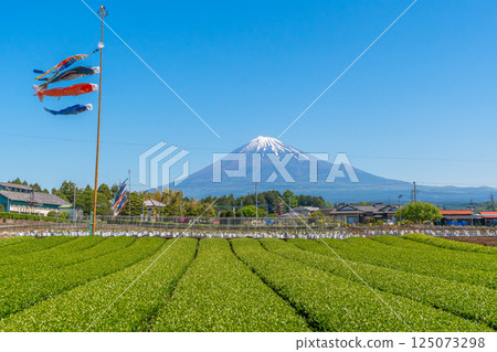 Mt. Fuji, tea plantations and carp streamers 125073298