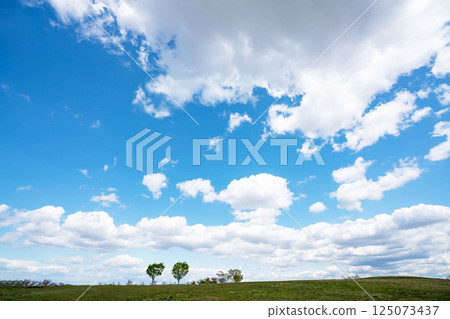 Blue sky and prairie Blue sky and prairie 125073437