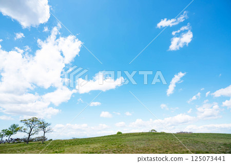 Blue sky and prairie 125073441