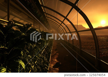 Lush greenery growing inside a large greenhouse extending into a Martian landscape at sunset 125074054