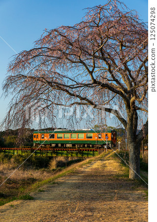 靜岡縣掛川市本鄉天龍濱名湖鐵道及沿線風景 125074298