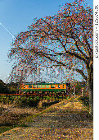 靜岡縣掛川市本鄉天龍濱名湖鐵道及沿線風景 125074300