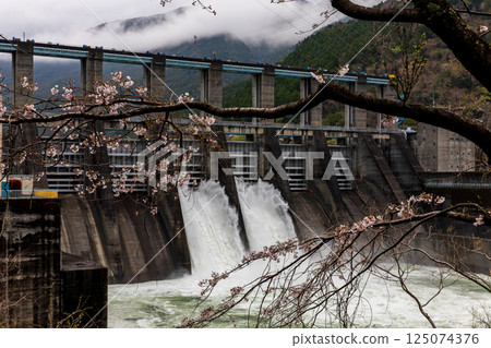 Scenery of cherry blossoms and Akiba Dam in Omine, Ryuzan-cho, Tenryu-ku, Hamamatsu City, Shizuoka Prefecture Scenery of cherry blossoms and Akiba Dam in Omine, Ryuzan-cho, Tenryu-ku, Hamamatsu City, Shizuoka Prefecture 125074376