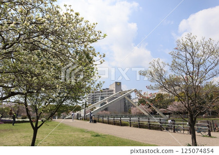 Shin-Yokohama, Tsurumi River, Sankakubashi, Cherry Blossom Season 125074854