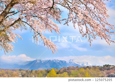 栃木縣那須鹽原市的櫻花與那須山的風景 125075205