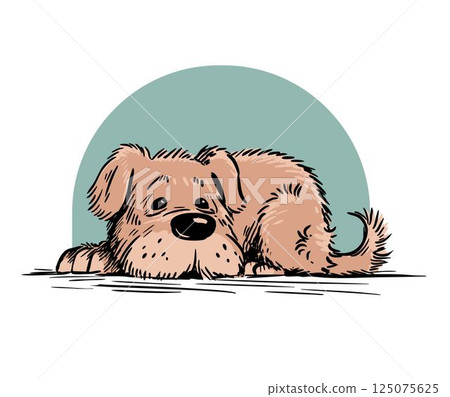 Kind old dog lying and resting 125075625
