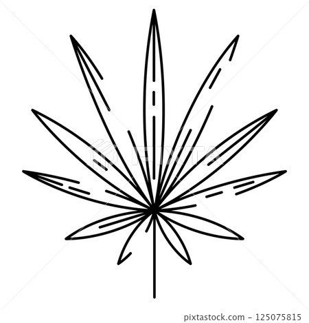 Illustration of stylized palm leaf. Decorative image of tropical foliage and plant. Illustration of stylized palm leaf. Decorative image of tropical foliage and plant. 125075815