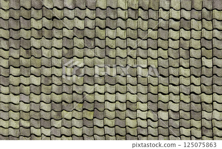 Weathered green roof tiles creating a textured pattern Weathered green roof tiles creating a textured pattern 125075863