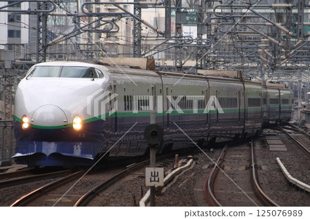 東北、上越新幹線200系（新顏色） 125076989