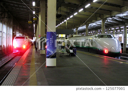 Tohoku/Joetsu Shinkansen 200 series (renewed color) Tohoku/Joetsu Shinkansen 200 series (renewed color) 125077001