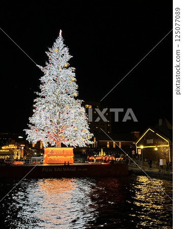 A huge Christmas tree floating in Hakodate Bay A huge Christmas tree floating in Hakodate Bay 125077089