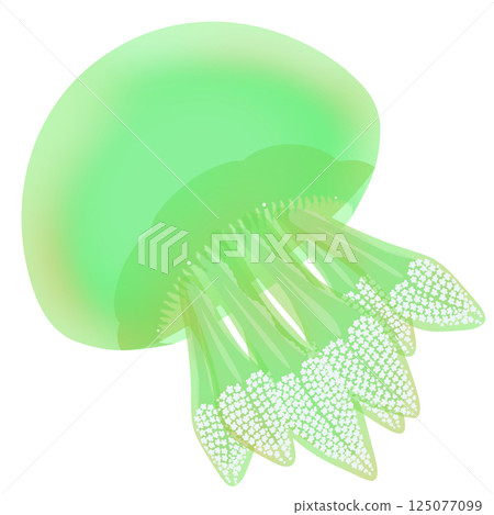 Color Jellyfish_Green 125077099