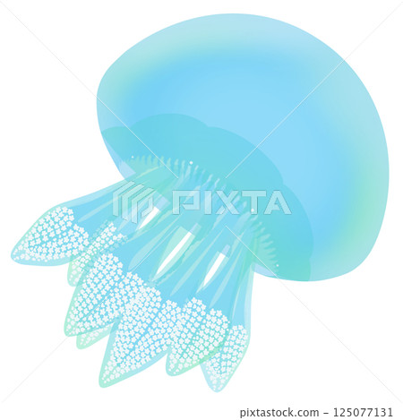 顏色水母_淺藍色 顏色水母_淺藍色 125077131