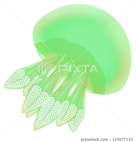 Color Jellyfish_Green Color Jellyfish_Green 125077133