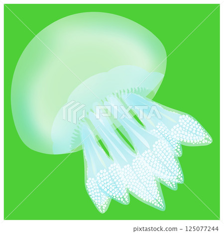 Color Jellyfish_Green Color Jellyfish_Green 125077244