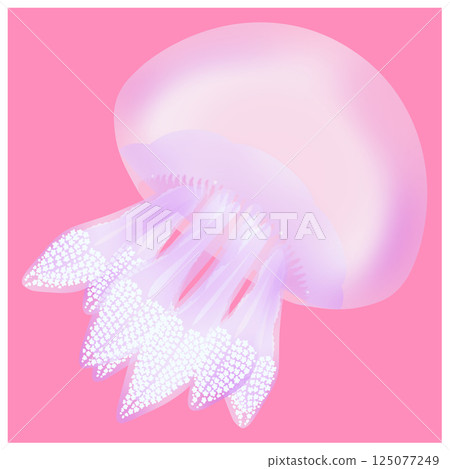 顏色 水母_粉紅色 125077249