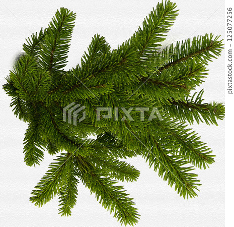Abstract green spruce branch on a light rough background 125077256