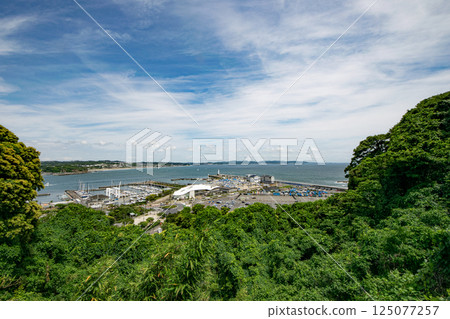 Scenery from hill park where harbor can be seen 125077257