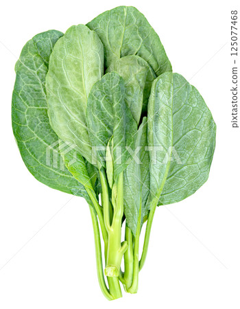 Chinese kale isolated,Green leaves of collards pattern Chinese kale isolated,Green leaves of collards pattern 125077468
