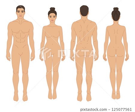 Man and Woman body front and back view vector illustration. Isolated outline line contour template human body different gender without clothes. Man and Woman body front and back view vector illustration. Isolated outline line contour template human body different gender without clothes. 125077561