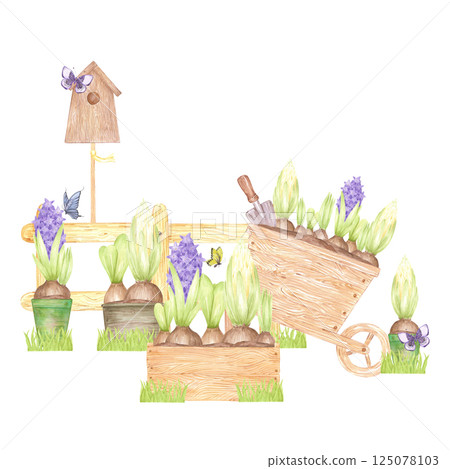Hand drawn watercolor garden composition with hyacinth flowers isolated on white background. Can be used for postcard, label, scrapbook and other printed products. Hand drawn watercolor garden composition with hyacinth flowers isolated on white background. Can be used for postcard, label, scrapbook and other printed products. 125078103