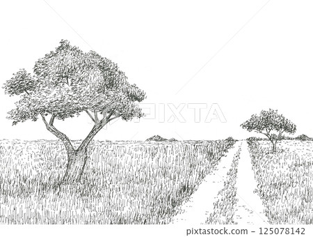 雄偉的大草原的手繪插圖 雄偉的大草原的手繪插圖 125078142