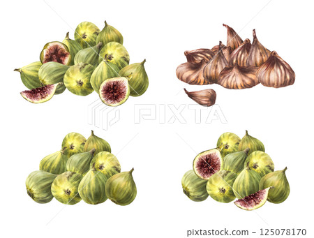 Figs fruit set. Watercolor painted pile of ripe, juicy fresh and dried fig. Picked whole and sliced fruit. Food, plant clipart for price tag, cosmetic, jam label. illustration isolated from background 125078170