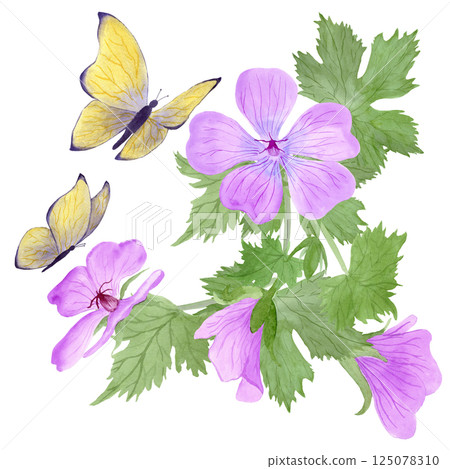 Composition of light purple geranium maculatum flowers and yellow butterflies by watercolor Composition of light purple geranium maculatum flowers and yellow butterflies by watercolor 125078310