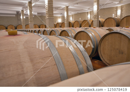 Wine barrels in the cellar of wine producer. 125078419