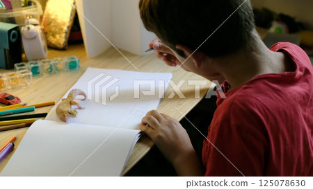A leopard gecko lies peacefully on a desk as a child uses a pencil to draw. This photo emphasizes patience, artistic exploration, and the joy of caring for exotic pets. A leopard gecko lies peacefully on a desk as a child uses a pencil to draw. This photo emphasizes patience, artistic exploration, and the joy of caring for exotic pets. 125078630