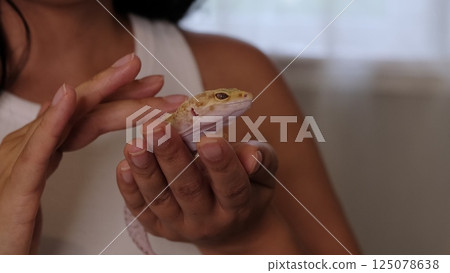 A leopard gecko rests peacefully while being handled, its intricate scales in sharp detail. This highlights the beauty of reptiles and the human effort to nurture them responsibly. A leopard gecko rests peacefully while being handled, its intricate scales in sharp detail. This highlights the beauty of reptiles and the human effort to nurture them responsibly. 125078638