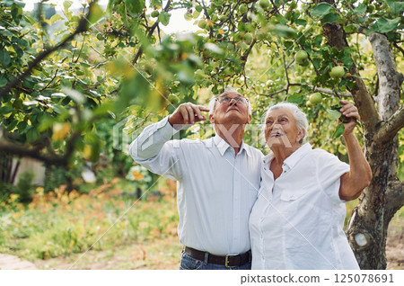 Taking care of an apple tree. Lovely senior couple is in the garden together Taking care of an apple tree. Lovely senior couple is in the garden together 125078691