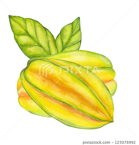 Watercolor starfruit. Averrhoa carambola or Bilimbi. Whole yellow fruit with green leaf foliage. Botanical exotic star apple. Hand drawn illustration isolated on white background. For menu 125078992