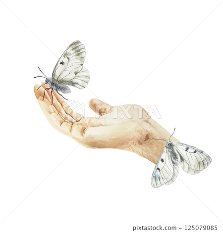 Human hand with butterflies. Hand drawn watercolor illustration isolated on white. For Mothers day greeting cards, birthday cards, invitations, labels, banners. 125079085
