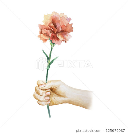 Red carnation in hand. Hand drawn watercolor illustration isolated on white. For greeting cards for Revolution Day, Remembrance Day, Victory Day, Independence Day, invitations, posters, labels. 125079087