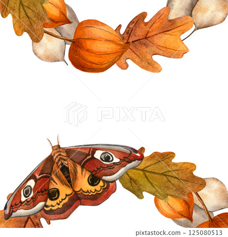 Autumn square frame with butterflies, fall leaves, physalis, lunaria. Elegant warm watercolor hand-drawn illustration on white background. Seasonal postcard, invitation, greeting card Thanksgiving day 125080513