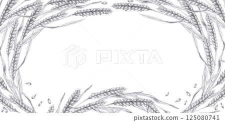 Rectangular frame with ears of wheat and grains. Isolated pencil illustration on the theme of harvest for the design of the menu of a pub, bakery, bakery, interior, advertising brochures 125080741