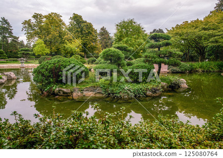 Awe Topiary pine trees on small island in Japanese garden in Nordpark Awe Topiary pine trees on small island in Japanese garden in Nordpark 125080764