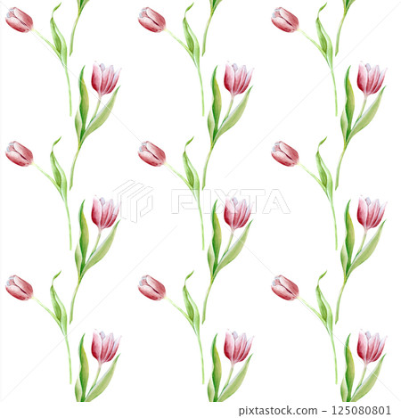 Watercolor seamless pattern with pink tulips on a white background. Delicate spring flowers are hand-painted. For wedding decoration, invitations, postcards, packaging, wallpaper, textiles. 125080801